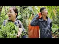 Download Lagu Nam panicked and ran to find Hang, his best friend who was lost in the deep forest.