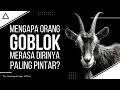 Download Lagu Alasan Kenapa Orang GOBLOK Merasa Dirinya Paling Pintar | The Dunning-Kruger Effect