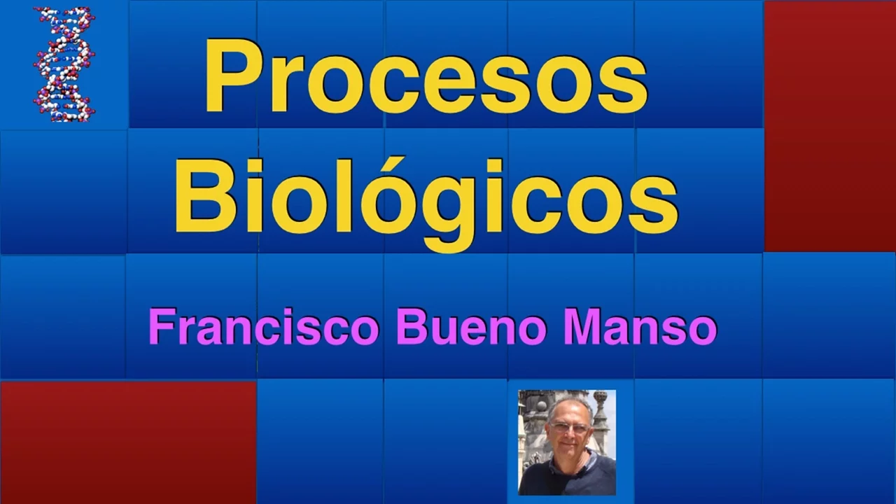 15. BÓTOX: MECANISMO DE ACCIÓN