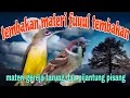 Download Lagu Tembakan rapat dan jernih pijantung pisang dan gereja tarung