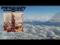 PapaShanty - Melodic Dub
