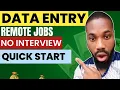 Data Entry Remote Jobs in Nigeria 2025 - No Experience