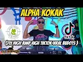 ALPHA KOKAK (TikTok Viral Budots) Fly High Jump High | Dj Sandy Remix