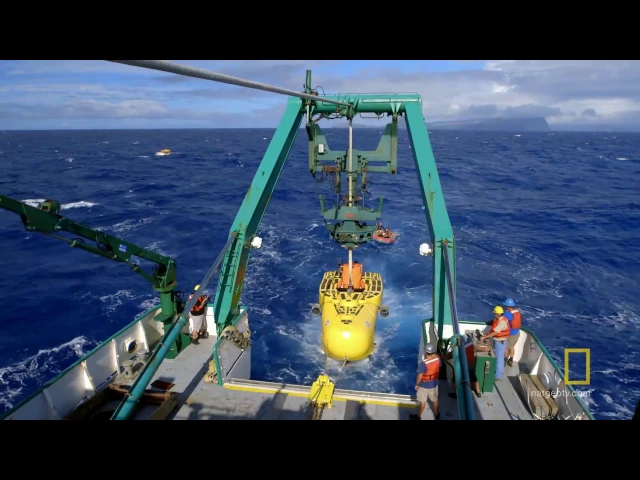 Current State of the Oceans | Sea of Hope: America's Underwater Treasures