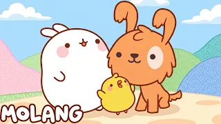 Molang | The Puppy | Funny Cartoon For Kids