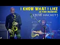 Download Lagu Steve Hackett - I Know What I Like (In Your Wardrobe)