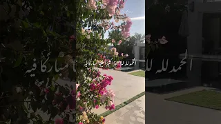 الحمدلله حمدا كثيرا طيبا مباركا فيه ملء السماوات والأرض وملء ما شئت من شئ بعد   دندنها