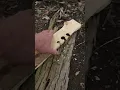 Bow Drill Friction Fire