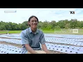 Download Lagu PETANI BAWANG MERAH SAMOSIR | BETA MANGULA Part 1/3