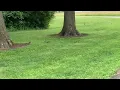 Far East Community Center Woods Clip Compilation PLEASE READ DESCRIPTION