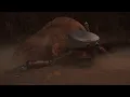 ROBBY, Cinematic Introduction
