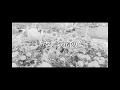 aiko - あなたの花の色