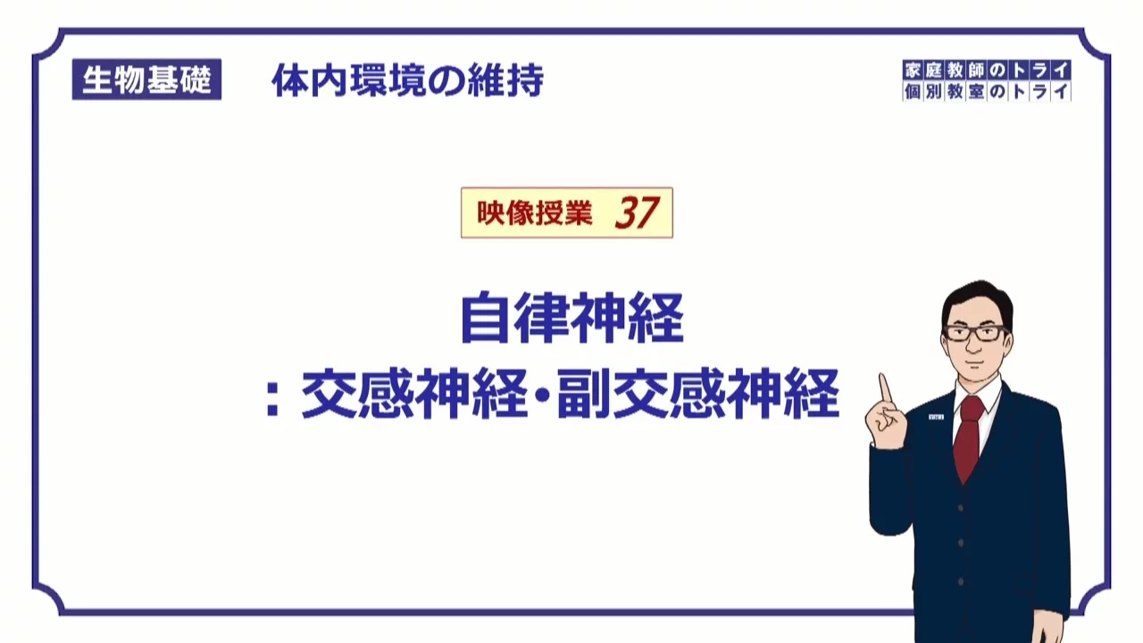 【生物基礎】 体内環境の維持37 自律神経:交感神経・副交感神経 (18分)