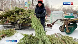 В парке 30-летия ВЛКСМ начали установку огромной новогодней ели