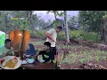 Download Lagu Suasana hujan,cabut singkong di kebun, membuat bubur singkong manis legit, masak di desa 