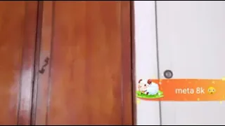 sexy