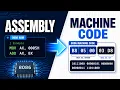 Assembly to Machine Code