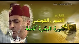 سورة البقرة لتحصين وطرد الشياطين من البيت صلاة التراويح للمقرئ العيون الكوشي مسجد الأندلس حي أناسي 