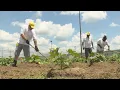 Prison inmates are growing and donating thousands of pounds of produce to a local food pantry