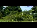 Download Lagu Jejak jejak Misterius Trans7 ◄Rawa Sunyi Pagar Dewa Surga Para Burung Dunia► 18 Mei 2015 Full HD