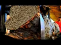 Download Lagu Penemuan Mengerikan Tidak Biasa Di Kayu Nangka Burl di Penggergajian Kayu