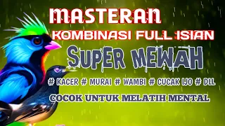 Download masteran kombinasi full isian mewah cocok untuk melatih mental burung fighter MP3