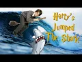 Harry Potter and the Jumping of the Shark