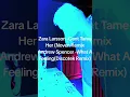 Lagu Dj Picker Bouncing Bootlegs Women Vocalists Mix Teaser