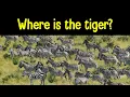 Find the Animal Game Can you find the hidden animals