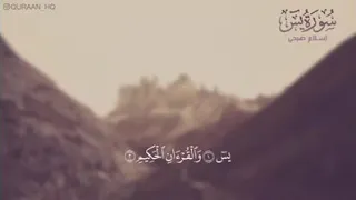 سورة يس   للقارئ اسلام فتحي                دندنها