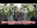 Download Lagu Condro Kirab Manten Jawa Di Pedesaan Kulon Progo