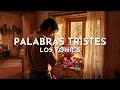 Los Yonic's - Palabras Tristes (Visualizer)