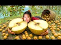 Download Lagu Single mom Harvests big pear to sell at the market with my little daughter