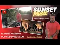 Download Lagu Sunset Party - Playlist Premium Rihanna, Taylor Swift, Tiesto, Nelly, Moony, Sonny Fondera, Adele