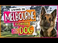 Melbourne Florida for Dog-Owners