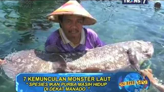 on the spot 7 kemunculan monster laut