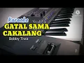 Download Lagu [Karaoke Version] GATAL SAMA CAKALANG - Bobby Tiwa || Nada Pria