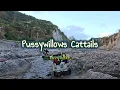 Lagu PUSSYWILLOWS CATTAILS - (Versi Karaoke) - dalam gaya Kenny Rankin