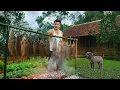 Download Lagu Making smoked fish, young CEO leaves the city for the wilderness, off the grid