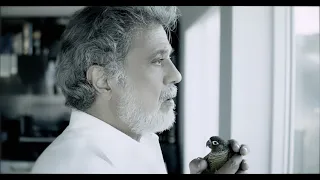 Dariush Gorg داریوش گرگ Official Video 
