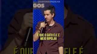 AFONSO PADILHA - QUAL É MAIS CARINHOSO CÃO OU GATO? #Shorts