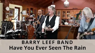 Download Have You Ever Seen The Rain (Creedence Clearwater Revival) cover by the Barry Leef Band MP3