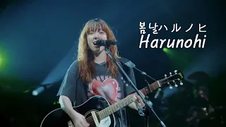 Download 아이묭 - 봄날(ハルノヒ, Harunohi)┃AIMYON TOUR 2023 -マジカル・バスルーム- MP3