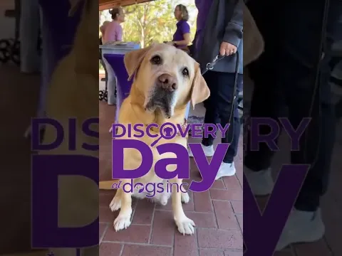 Experience the Magic: Join Us for Discovery Day at Dogs Inc!