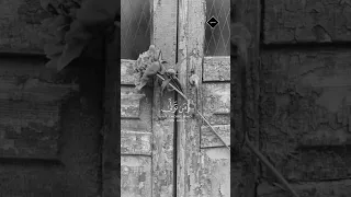 الشيخ ياسر الدوسري تلاوة خاشعة آية قصيرة من القرآن الكريم Quran قرآن اكسبلور ياسر الدوسري Short 