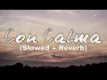 Download Lagu Con Calma (Slowed + Reverb)