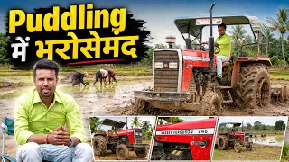 कम डीजल में ज्यादा काम | MF 246 Dynatrack किसान का असली अनुभव