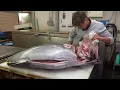 JAPANESE TUNA Dismantling - OTORO CUTTING SUSHI IN JAPAN