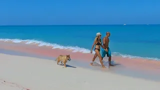 Now THIS is where we want to be STRANDED | 101 | Beau and Brandy Sailing