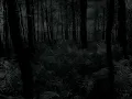 The Knife - Silent Shout
